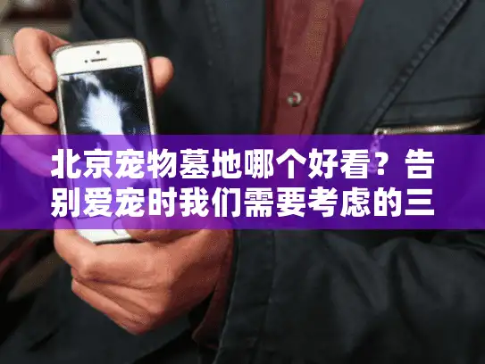 北京宠物墓地哪个好看？告别爱宠时我们需要考虑的三大美学因素