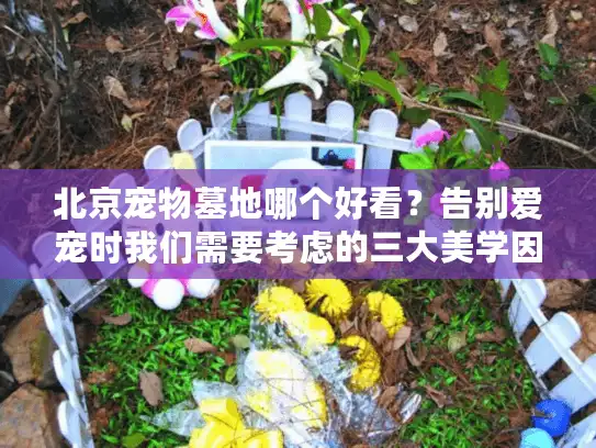 北京宠物墓地哪个好看？告别爱宠时我们需要考虑的三大美学因素
