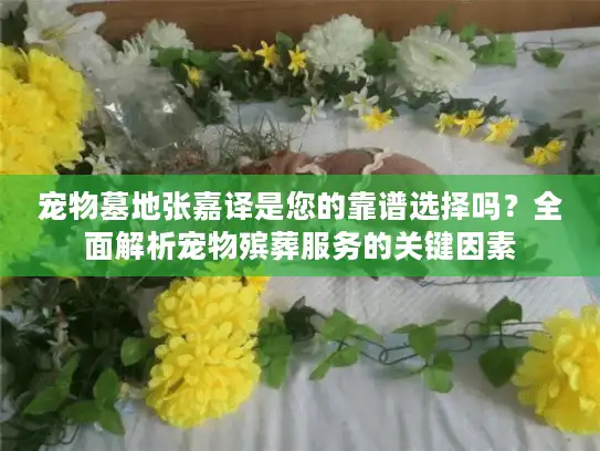 宠物墓地张嘉译是您的靠谱选择吗？全面解析宠物殡葬服务的关键因素