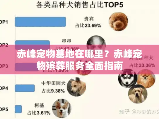 赤峰宠物墓地在哪里？赤峰宠物殡葬服务全面指南