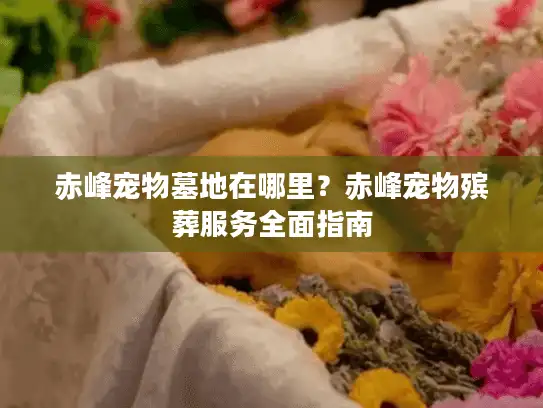 赤峰宠物墓地在哪里？赤峰宠物殡葬服务全面指南