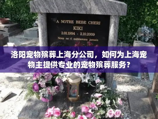 洛阳宠物殡葬上海分公司，如何为上海宠物主提供专业的宠物殡葬服务？
