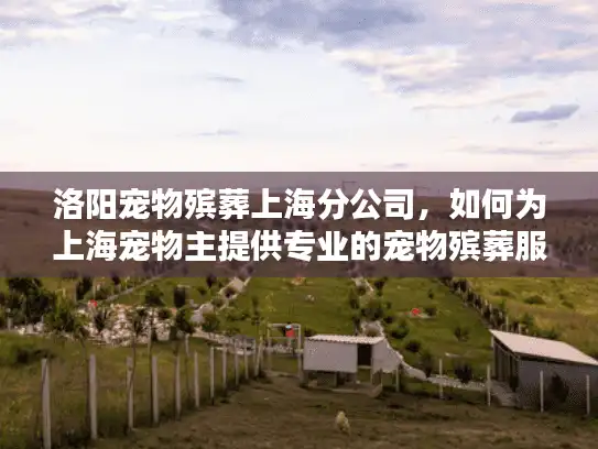 洛阳宠物殡葬上海分公司，如何为上海宠物主提供专业的宠物殡葬服务？