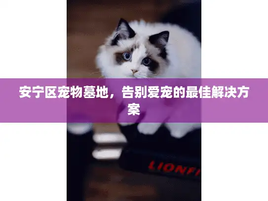 安宁区宠物墓地，告别爱宠的最佳解决方案