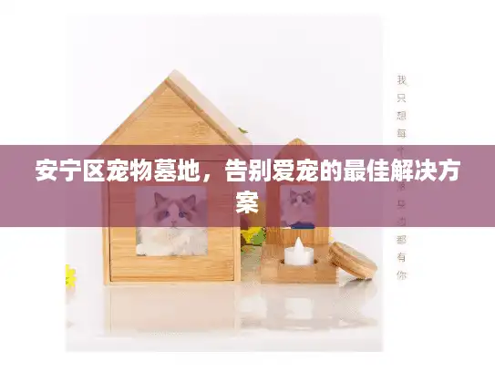 安宁区宠物墓地，告别爱宠的最佳解决方案