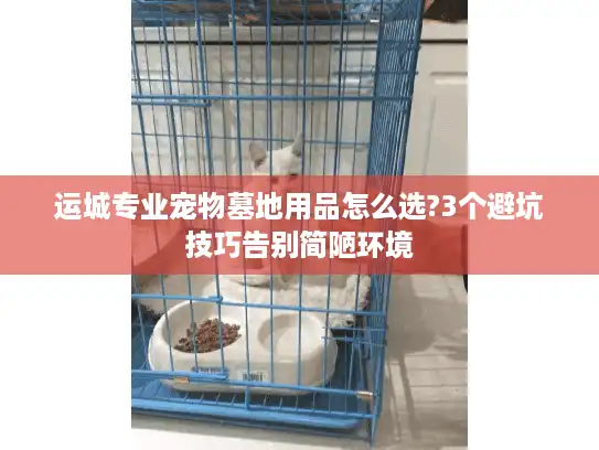 运城专业宠物墓地用品怎么选?3个避坑技巧告别简陋环境