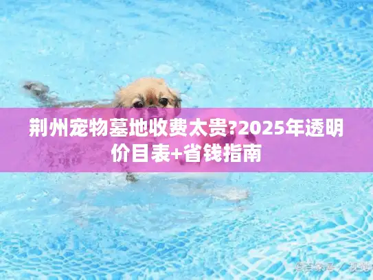 荆州宠物墓地收费太贵?2025年透明价目表+省钱指南