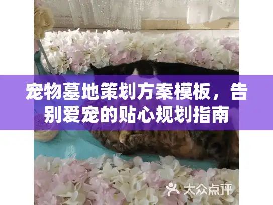 宠物墓地策划方案模板，告别爱宠的贴心规划指南