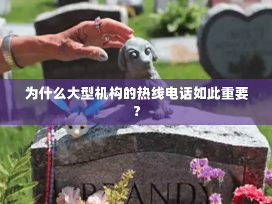 为什么大型机构的热线电话如此重要？