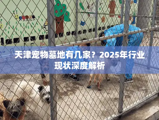 天津宠物墓地有几家？2025年行业现状深度解析