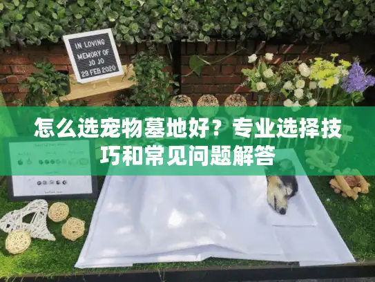怎么选宠物墓地好？专业选择技巧和常见问题解答