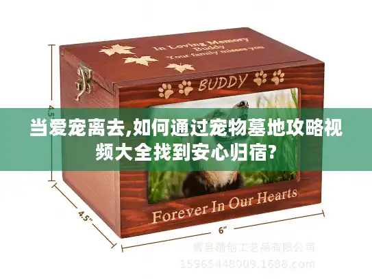 当爱宠离去,如何通过宠物墓地攻略视频大全找到安心归宿?