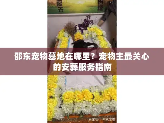 邵东宠物墓地在哪里？宠物主最关心的安葬服务指南