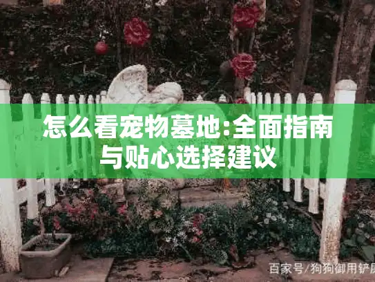 怎么看宠物墓地:全面指南与贴心选择建议