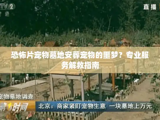 恐怖片宠物墓地安葬宠物的噩梦？专业服务解救指南