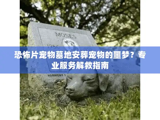 恐怖片宠物墓地安葬宠物的噩梦？专业服务解救指南