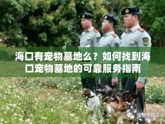 海口有宠物墓地么？如何找到海口宠物墓地的可靠服务指南