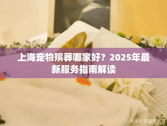 上海宠物殡葬哪家好？2025年最新服务指南解读