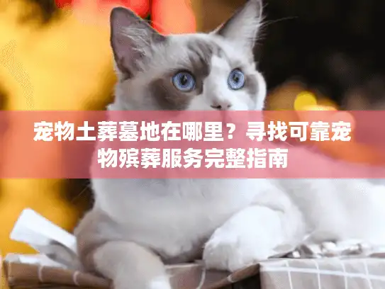 宠物土葬墓地在哪里？寻找可靠宠物殡葬服务完整指南