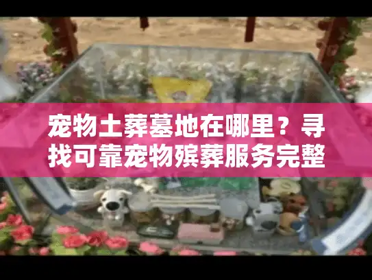 宠物土葬墓地在哪里？寻找可靠宠物殡葬服务完整指南