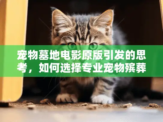 宠物墓地电影原版引发的思考，如何选择专业宠物殡葬服务告别痛楚