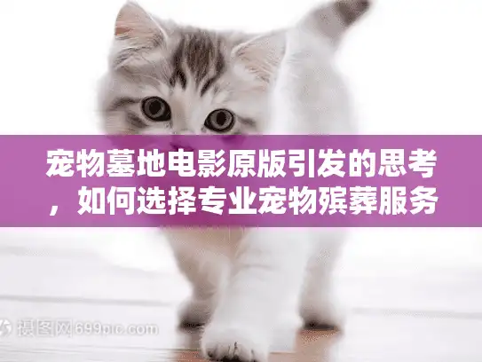 宠物墓地电影原版引发的思考，如何选择专业宠物殡葬服务告别痛楚