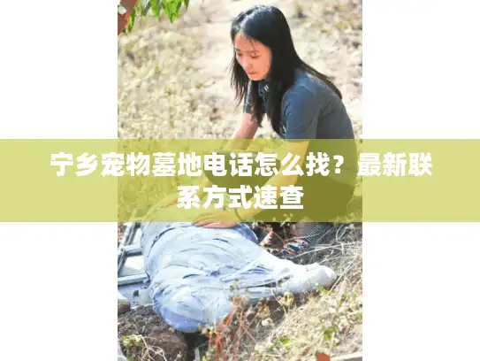 宁乡宠物墓地电话怎么找？最新联系方式速查