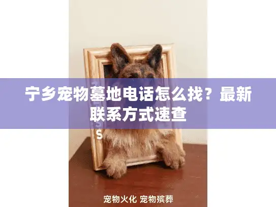 宁乡宠物墓地电话怎么找？最新联系方式速查
