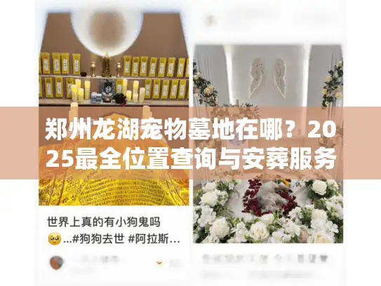 郑州龙湖宠物墓地在哪？2025最全位置查询与安葬服务指南