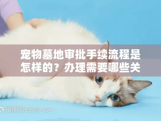 宠物墓地审批手续流程是怎样的？办理需要哪些关键步骤？