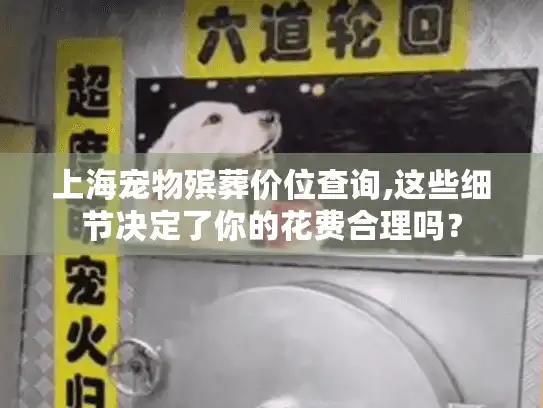 上海宠物殡葬价位查询,这些细节决定了你的花费合理吗？