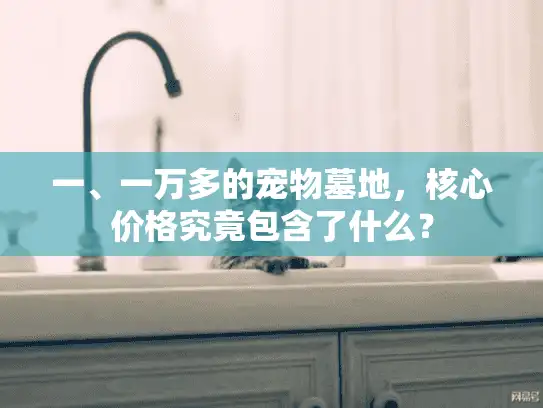 一、一万多的宠物墓地，核心价格究竟包含了什么？