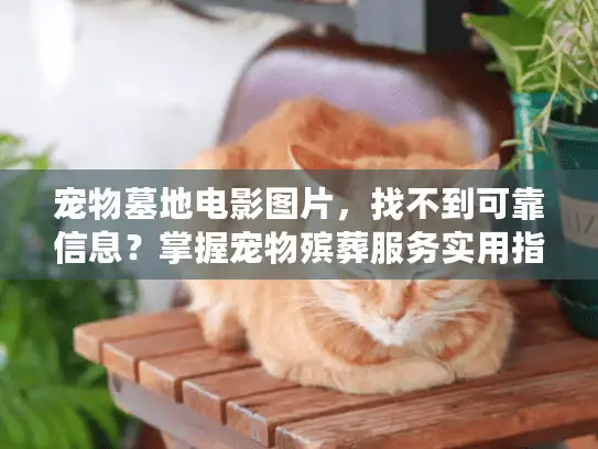 宠物墓地电影图片，找不到可靠信息？掌握宠物殡葬服务实用指南的真相