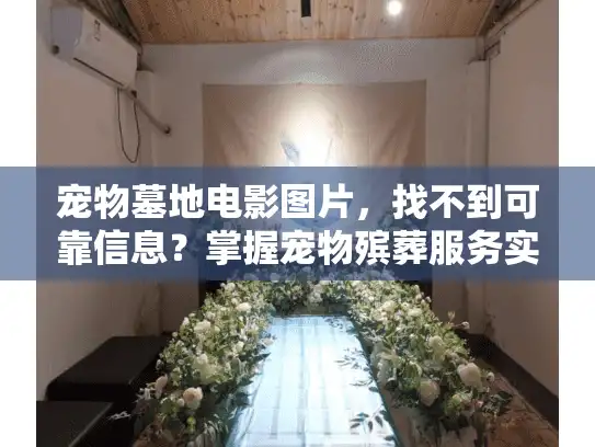 宠物墓地电影图片，找不到可靠信息？掌握宠物殡葬服务实用指南的真相