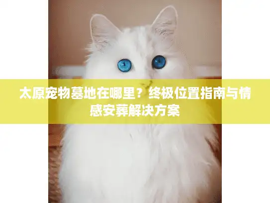 太原宠物墓地在哪里？终极位置指南与情感安葬解决方案