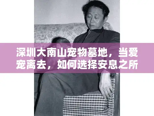 深圳大南山宠物墓地，当爱宠离去，如何选择安息之所？