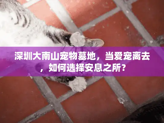 深圳大南山宠物墓地，当爱宠离去，如何选择安息之所？