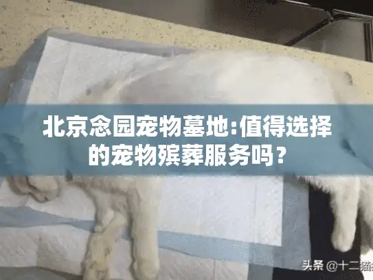 北京念园宠物墓地:值得选择的宠物殡葬服务吗？