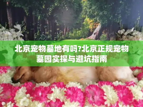 北京宠物墓地有吗?北京正规宠物墓园实探与避坑指南
