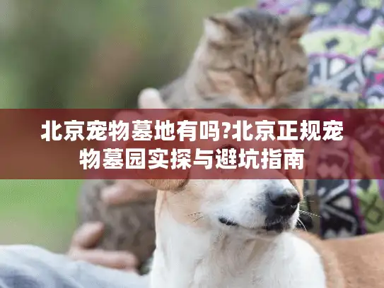 北京宠物墓地有吗?北京正规宠物墓园实探与避坑指南