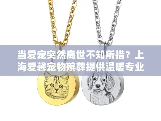 当爱宠突然离世不知所措？上海爱馨宠物殡葬提供温暖专业的告别方案