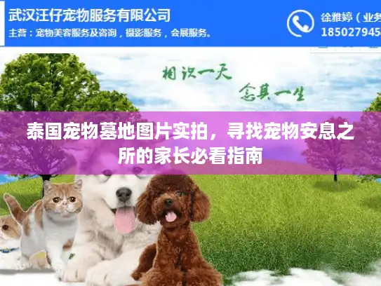泰国宠物墓地图片实拍，寻找宠物安息之所的家长必看指南