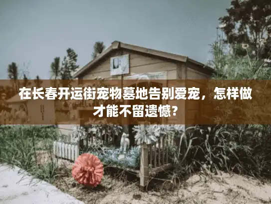 在长春开运街宠物墓地告别爱宠，怎样做才能不留遗憾？