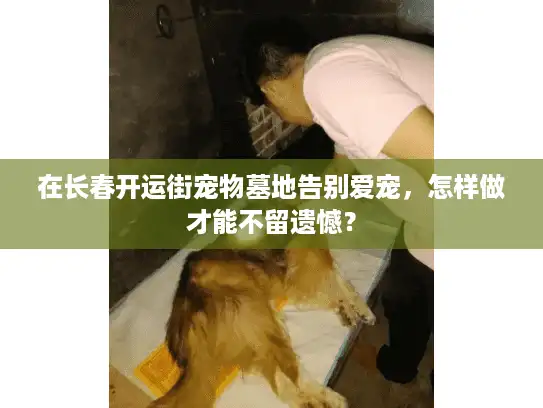 在长春开运街宠物墓地告别爱宠，怎样做才能不留遗憾？