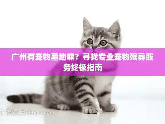 广州有宠物墓地嘛？寻找专业宠物殡葬服务终极指南