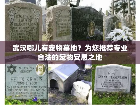 武汉哪儿有宠物墓地？为您推荐专业合法的宠物安息之地