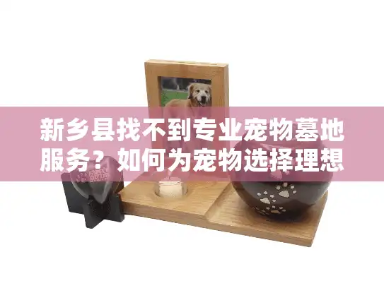 新乡县找不到专业宠物墓地服务？如何为宠物选择理想安息地？