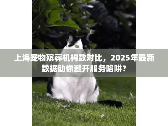 上海宠物殡葬机构数对比，2025年最新数据助你避开服务陷阱？