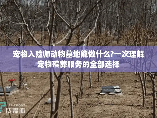 宠物入殓师动物墓地能做什么?一次理解宠物殡葬服务的全部选择