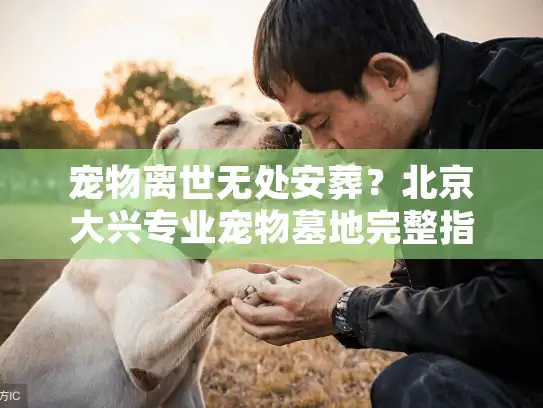 宠物离世无处安葬？北京大兴专业宠物墓地完整指南
